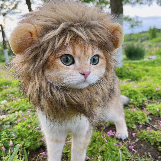 Cute Lion Mane Cat Wig