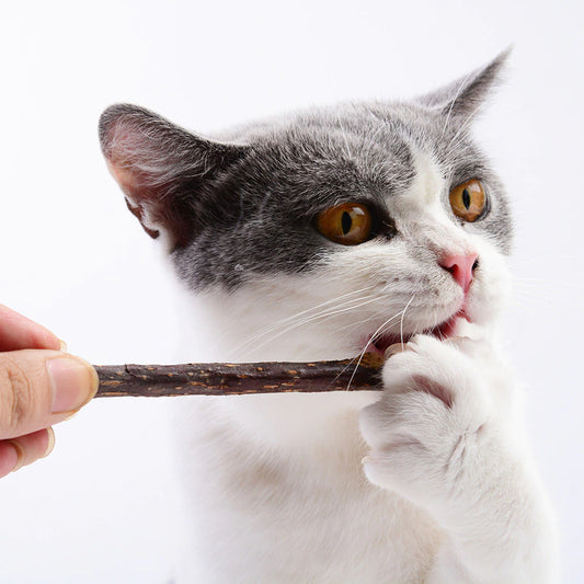 Cat Snacks Sticks (20PCS)
