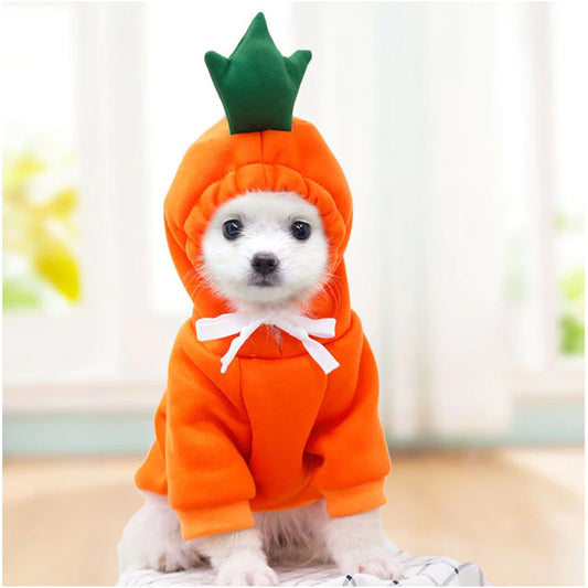Carrot Hoodie Jacket