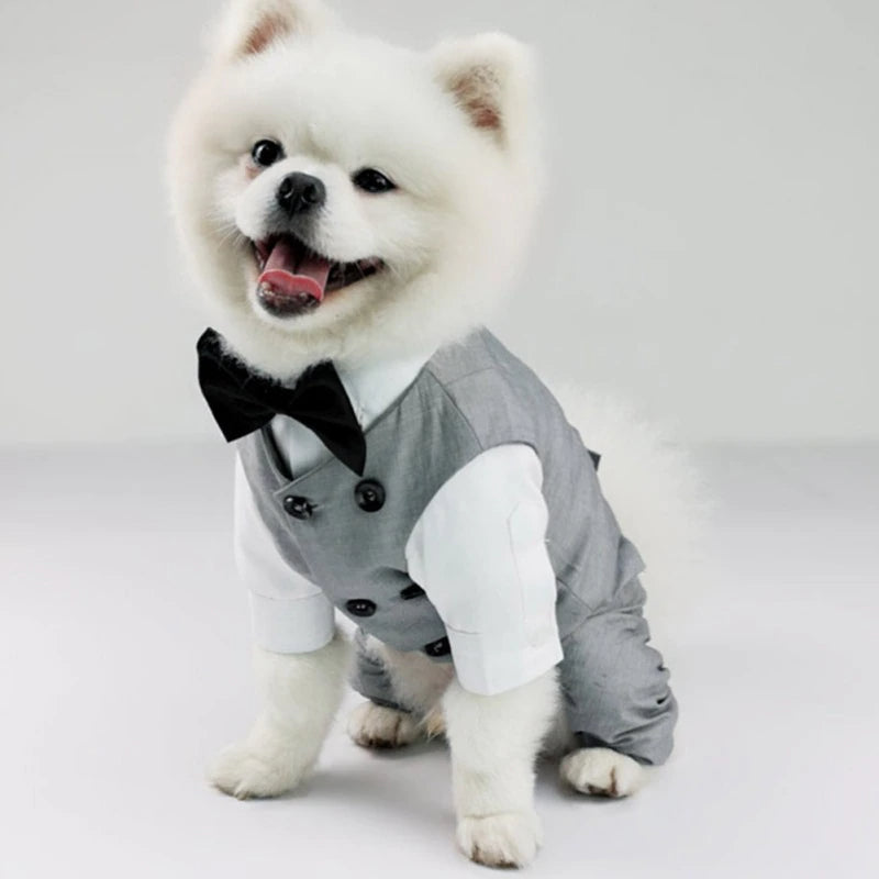 Gentleman Pet Wedding Suit