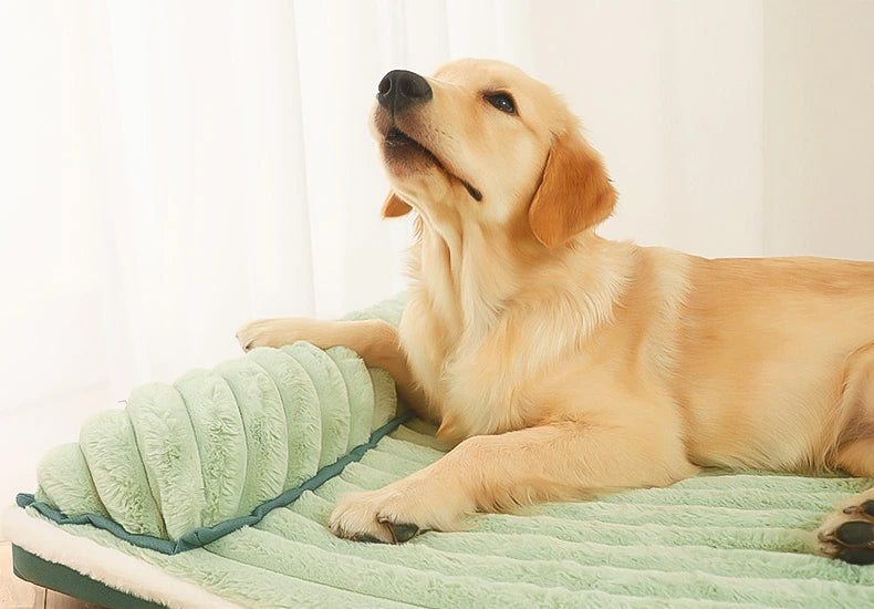 Removable Dog Bed