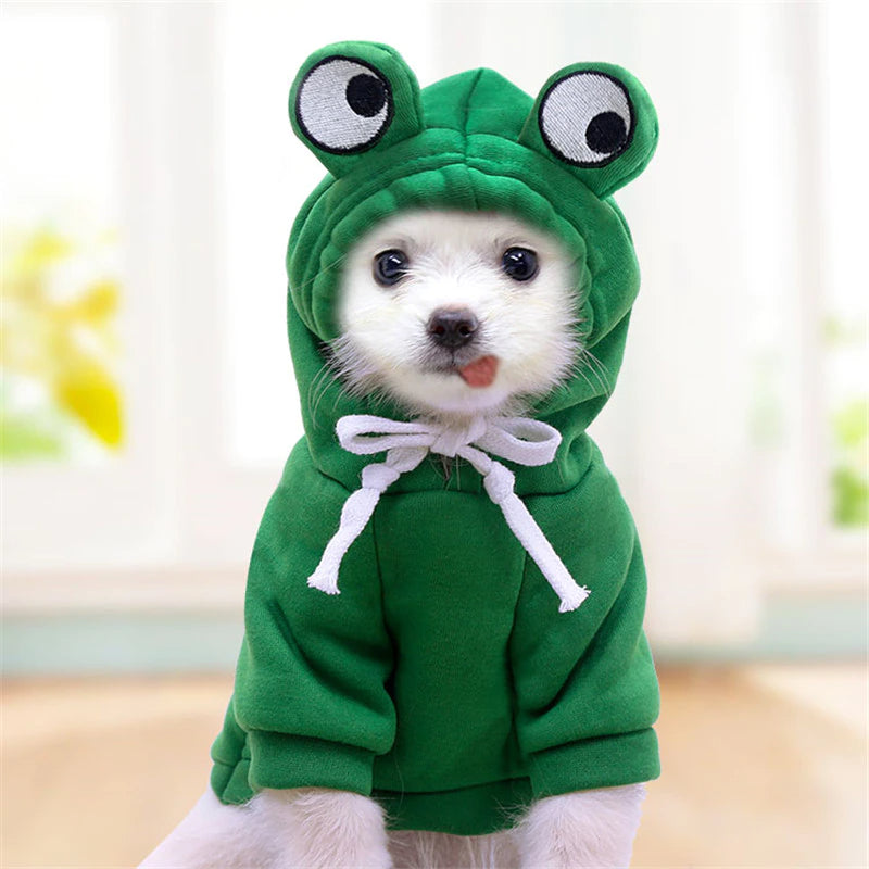 Frog Jacket Suit