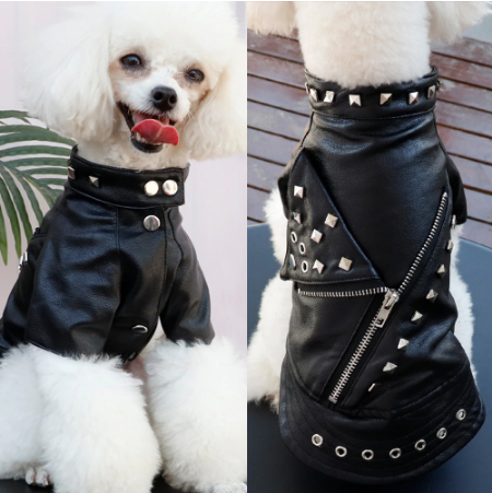 Cool Leather Dog Jacket