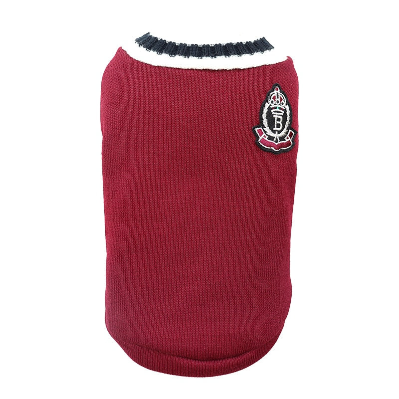 Varsity Style Pet Sweater