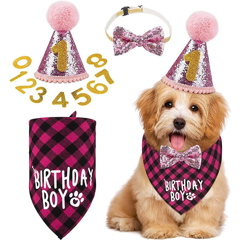 Dog Birthday Party Accessories