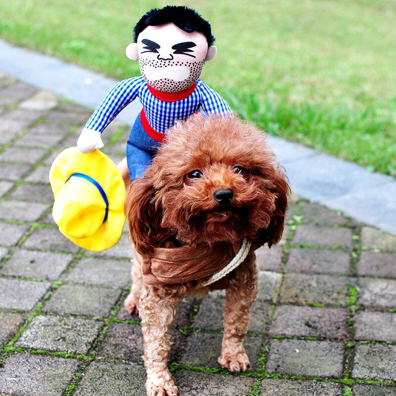 Cowboy Rider Dog Costume