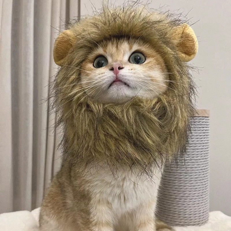 Cute Lion Mane Cat Wig