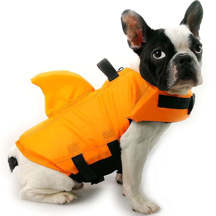 Life Vest Summer Shark