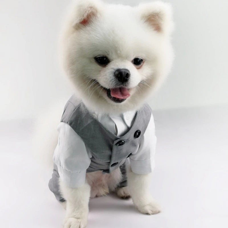 Gentleman Pet Wedding Suit