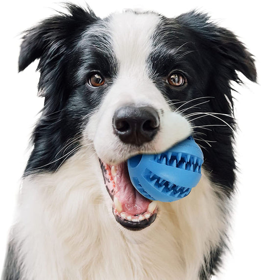 The Play Dog Treat Ball