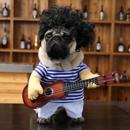 Pet Guitar Costume