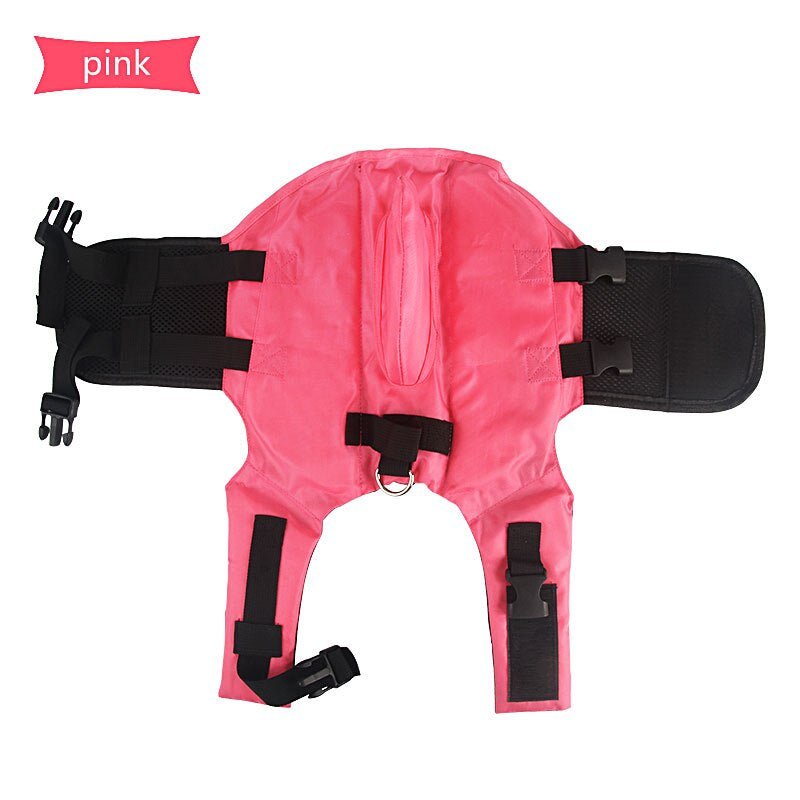 Life Vest Summer Shark