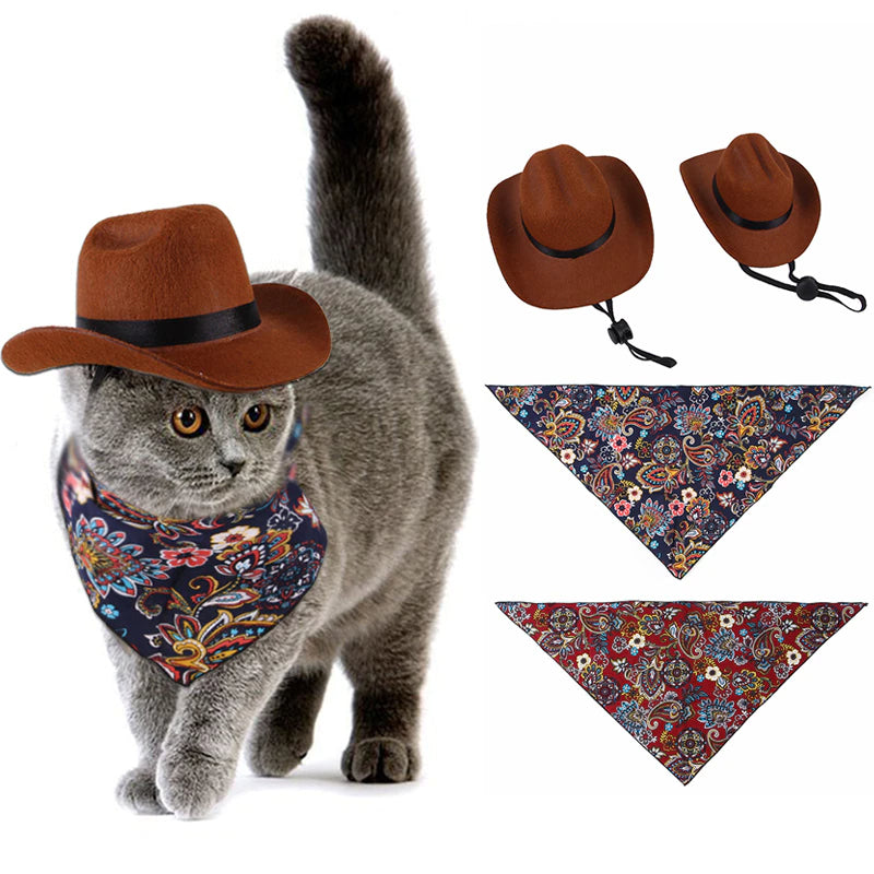 Funny Hat For Pet Western Cowboy