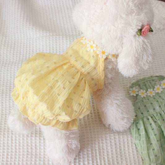 Summer Daisy Dress