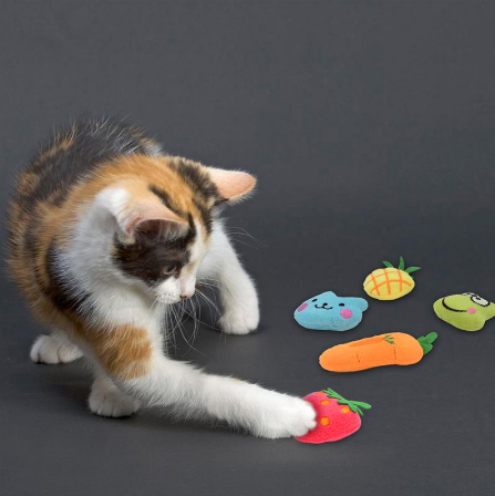 3D Carp Fish Shape Cat Toy