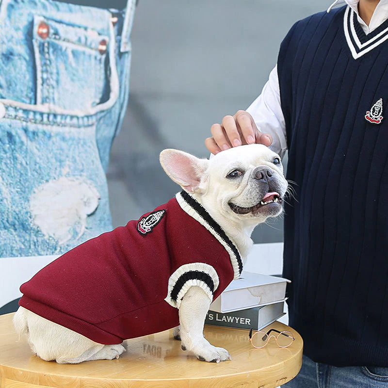 Varsity Style Pet Sweater