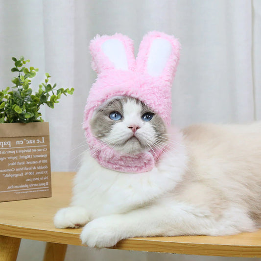 Cat Hat Plush Bunny Ears