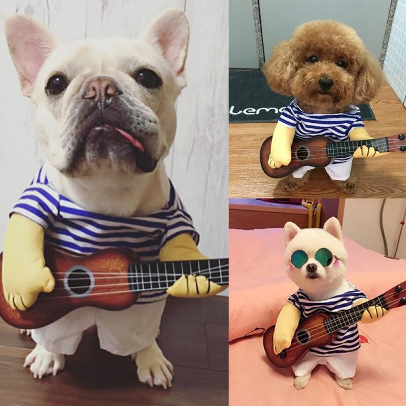 Pet Guitar Costume