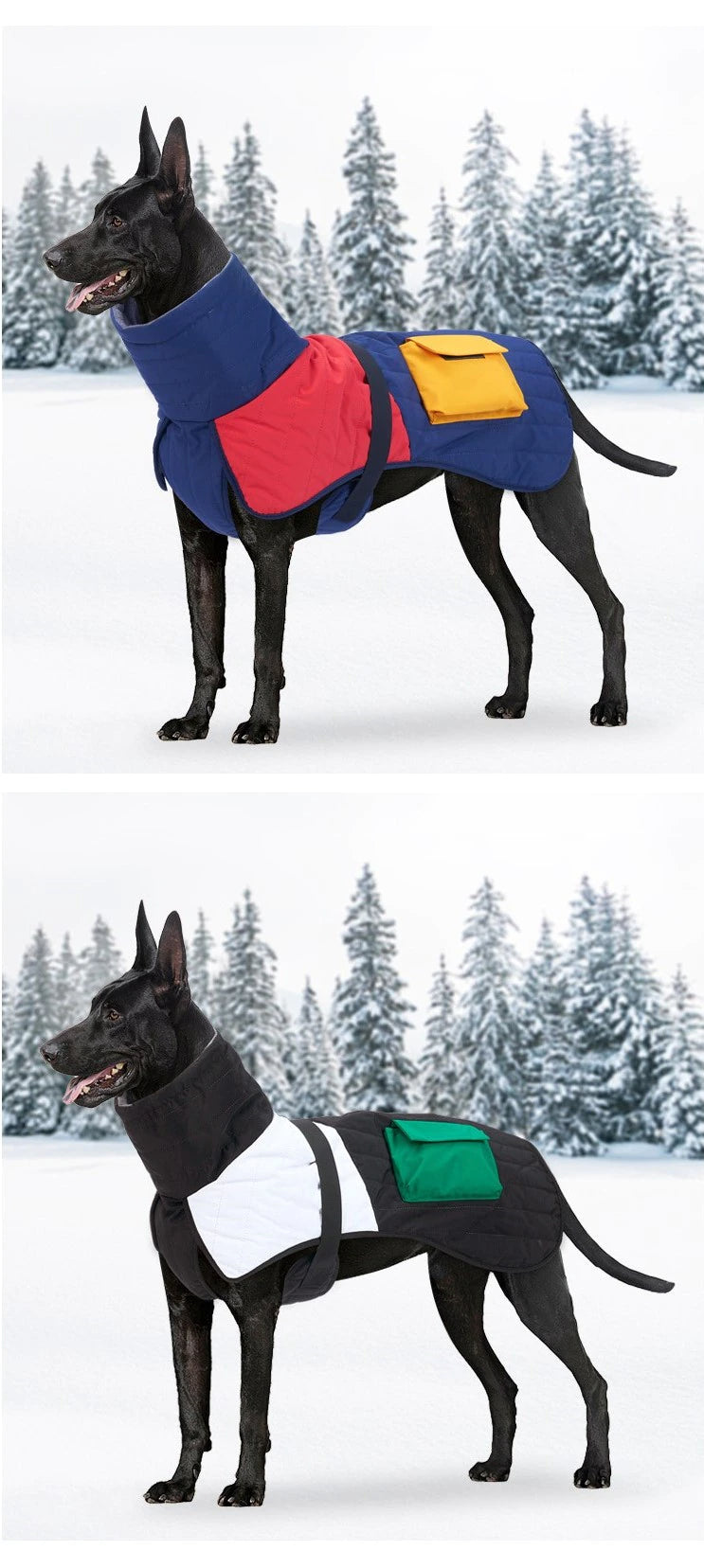 Big Dog Waterproof vest