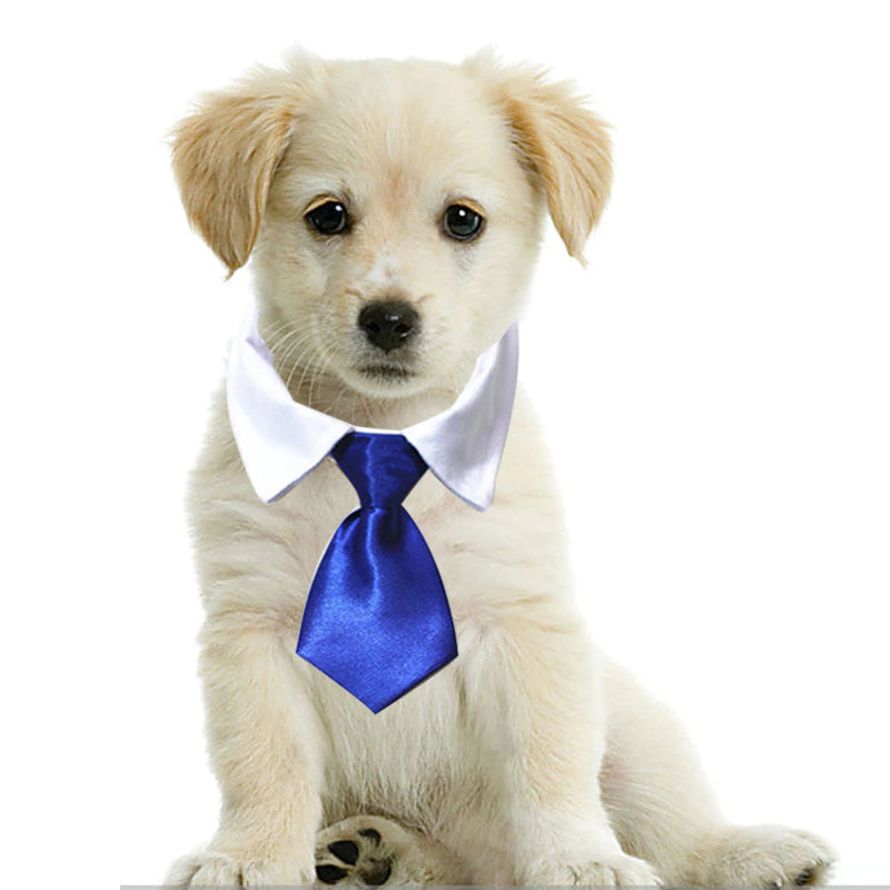 Pets Formal Tie