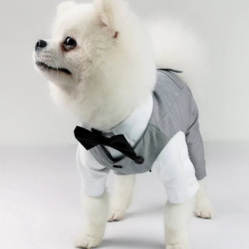 Gentleman Pet Wedding Suit