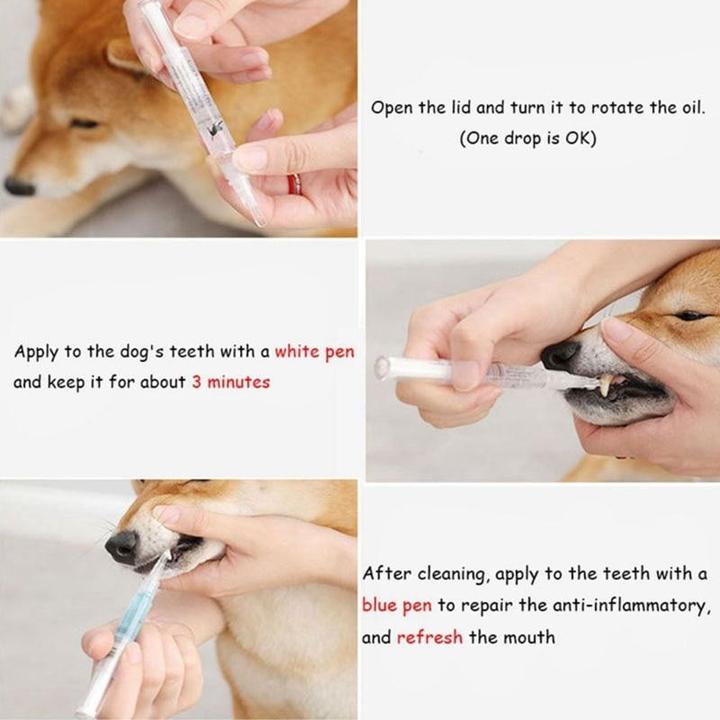 Dog Dental Kit