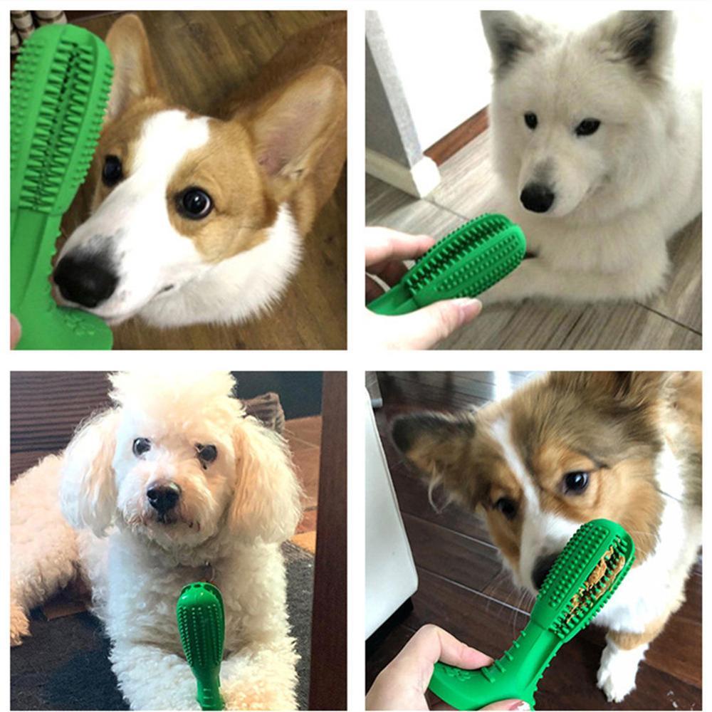 Dog Dental Care Multi-functional Interactive Toothbrush