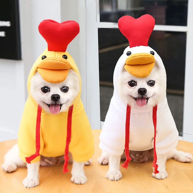 Chicken Jacket Suit