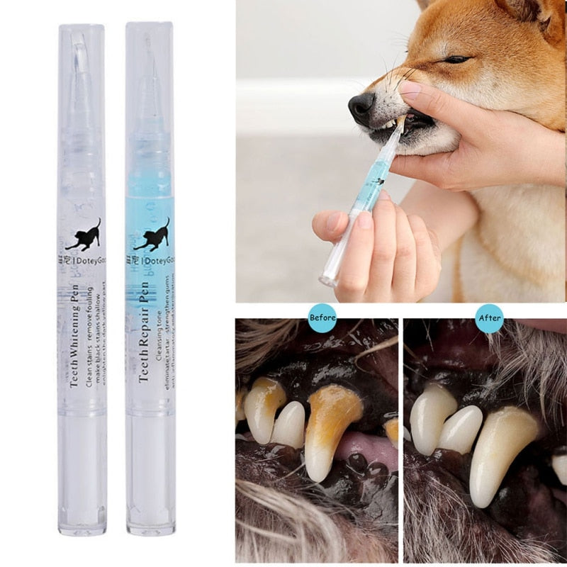 Dog Dental Kit