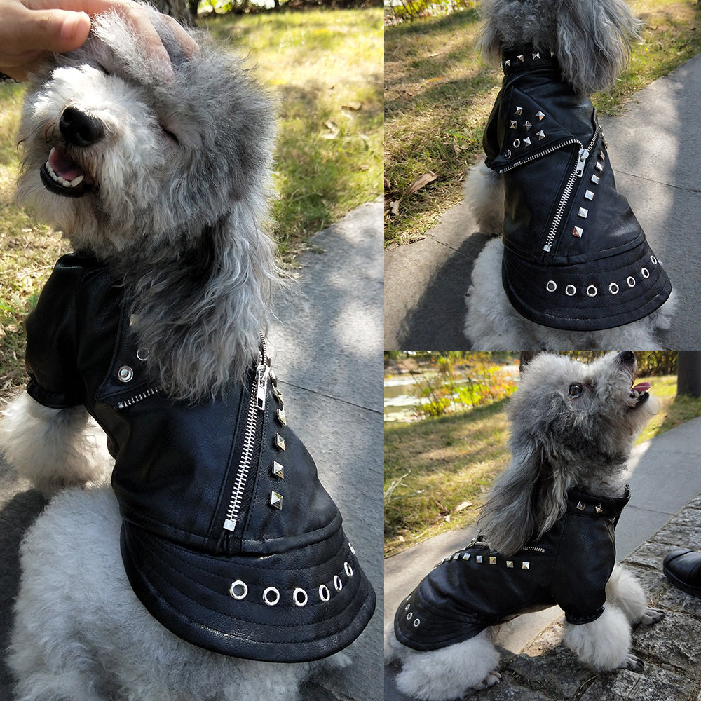 Cool Leather Dog Jacket