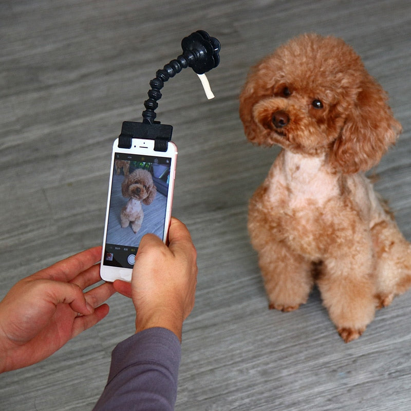 Dog Selfie Stick