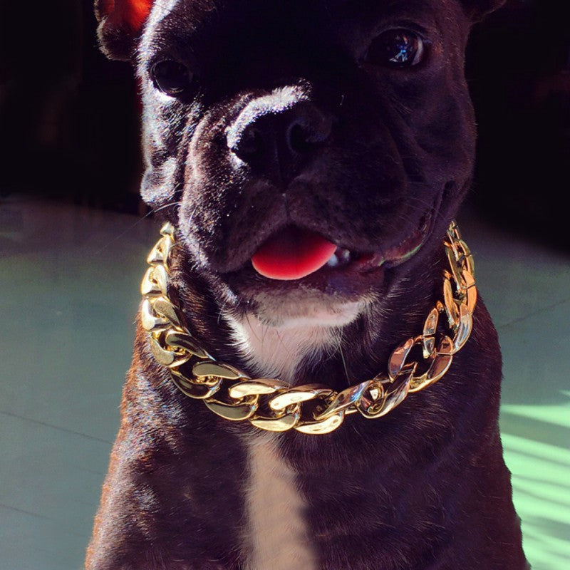 Fashion Pet Gold Chain Collar