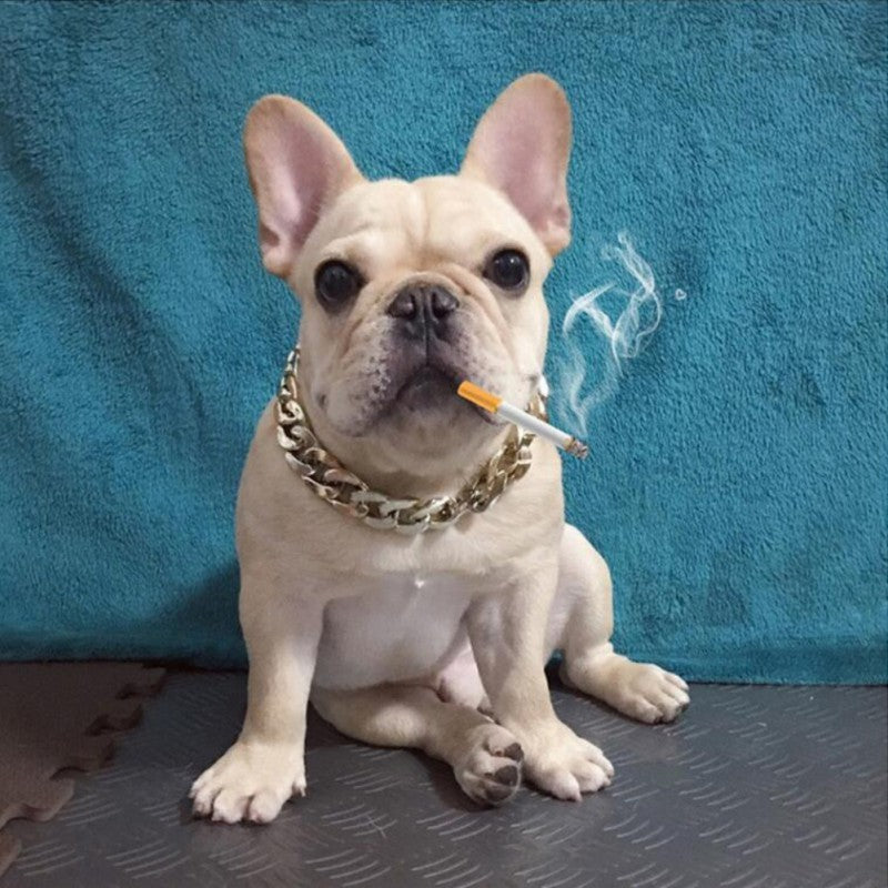 Fashion Pet Gold Chain Collar