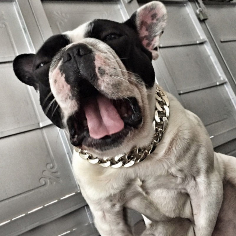 Fashion Pet Gold Chain Collar