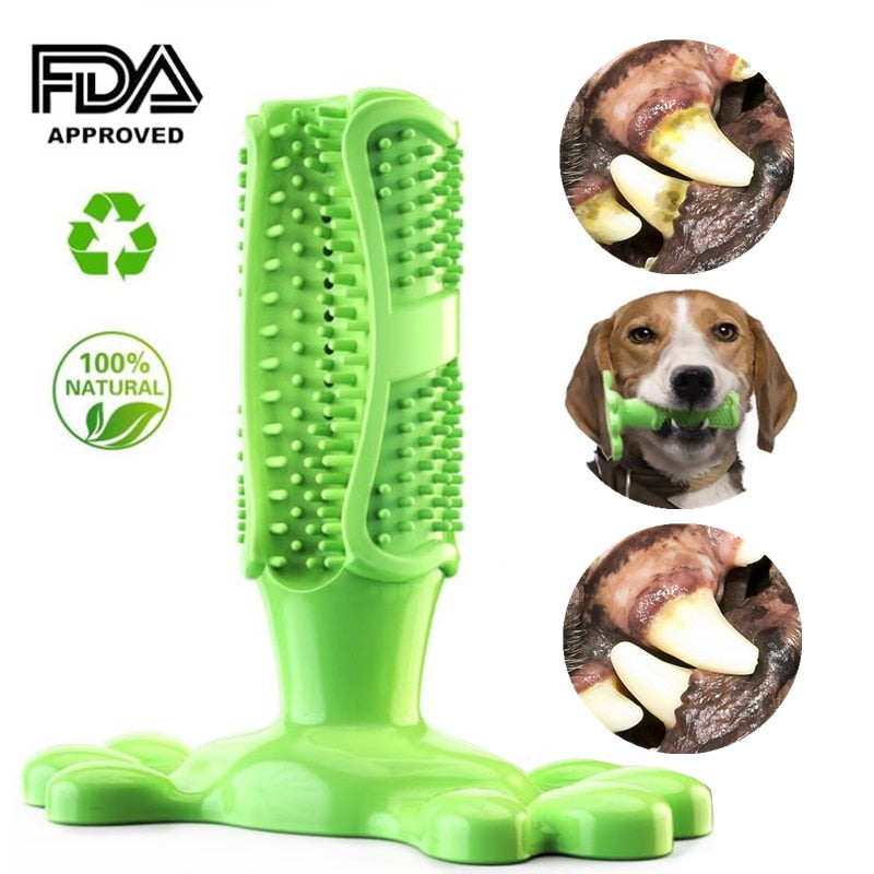 Dog Dental Care Multi-functional Interactive Toothbrush